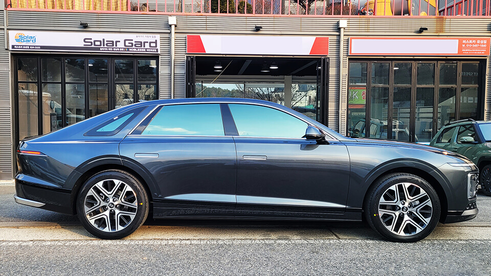 솔라가드 노블레스 복용점