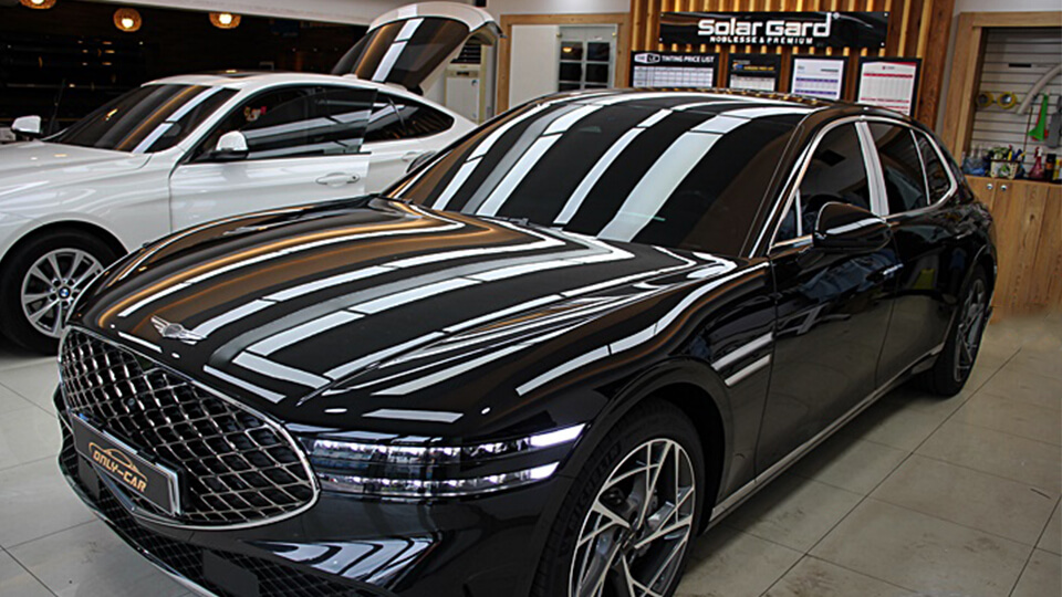 솔라가드 노블레스 장대점