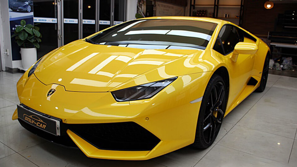 솔라가드 노블레스 장대점