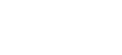 NEO X